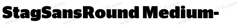 StagSansRound Medium字体转换